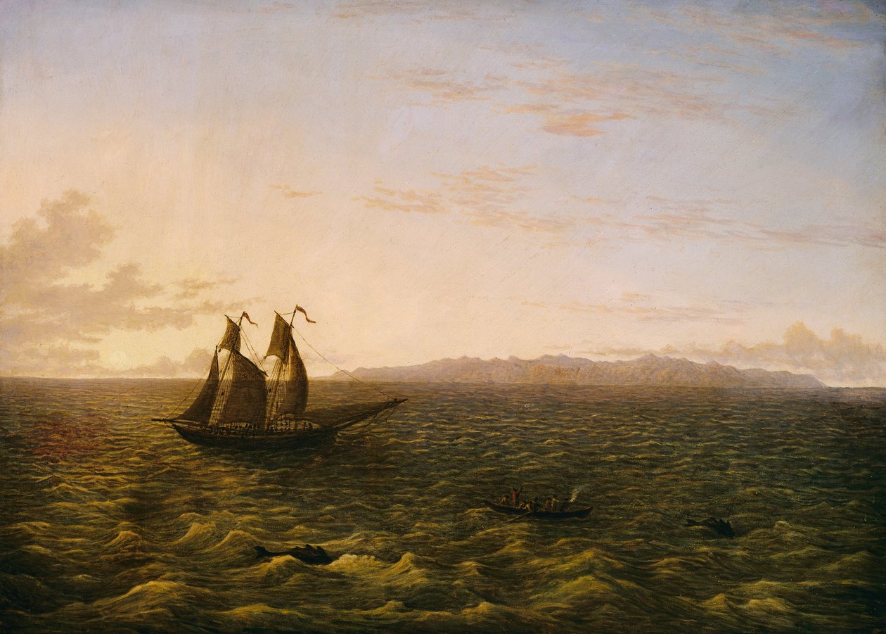Madeira Adası by John Glover