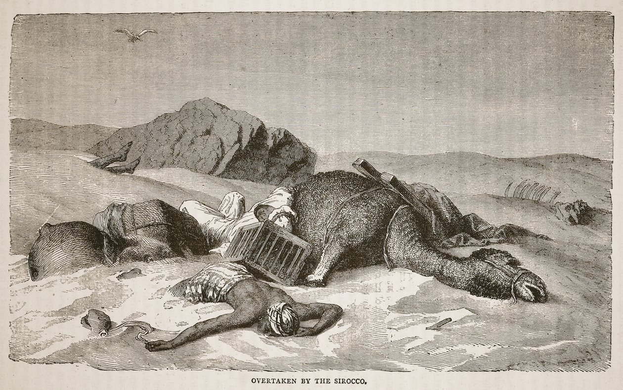 Sirocco tarafından ele geçirilmiş, J. Ewing Richie