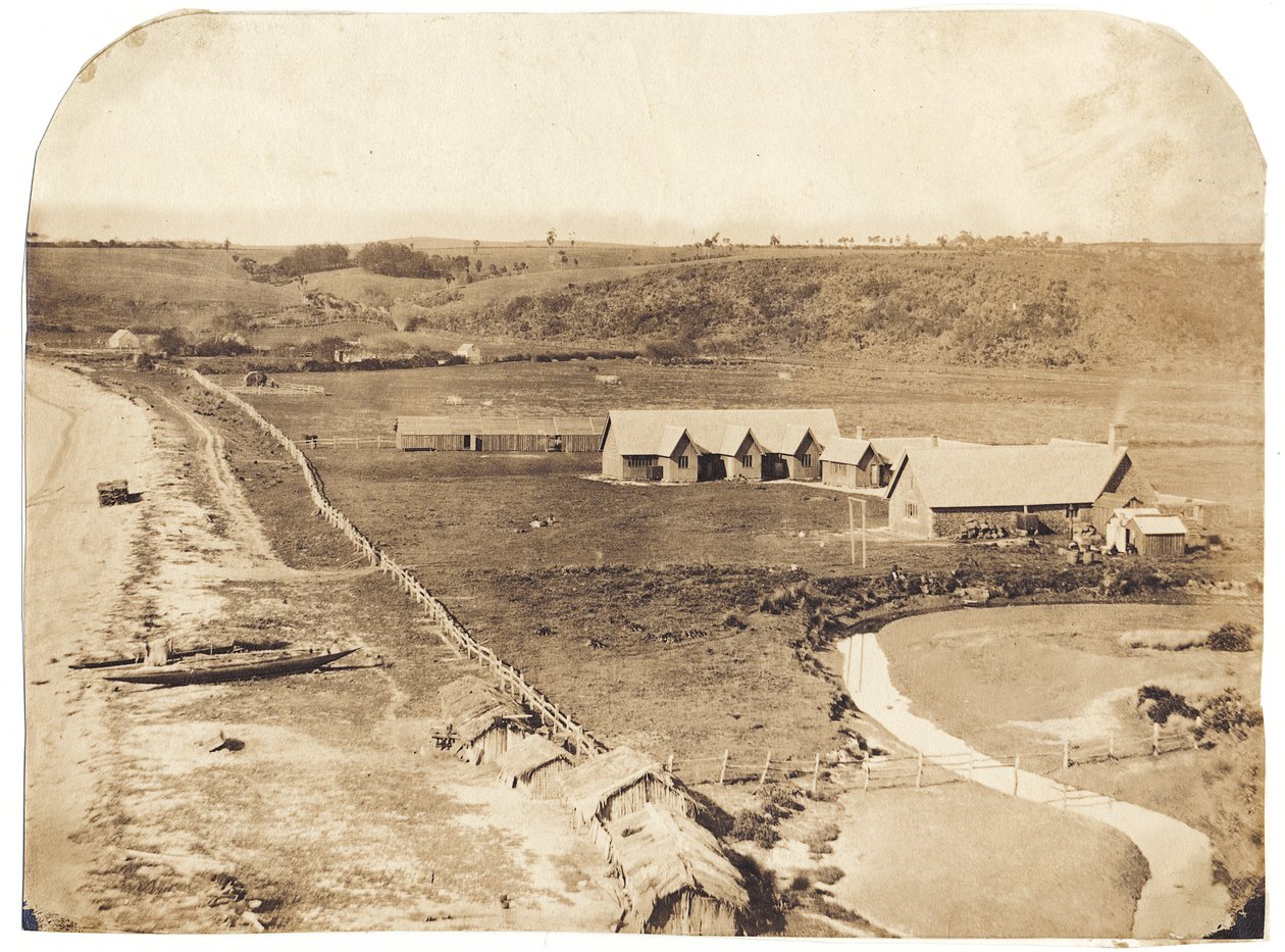 Kohimarama, 1860 dolayları (albümenize tuz baskısı) by John Nicol Crombie