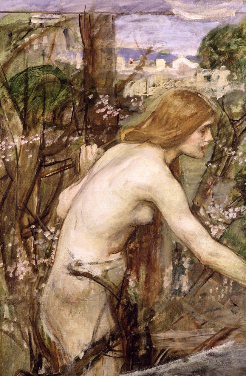 Çiçek Seçici (gemiye serilmiş tuval üzerine yağlıboya) by John William Waterhouse