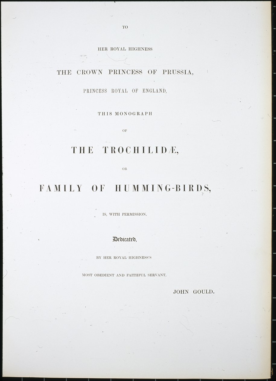 Frontispiece (el renginde taş) by John (after) Gould