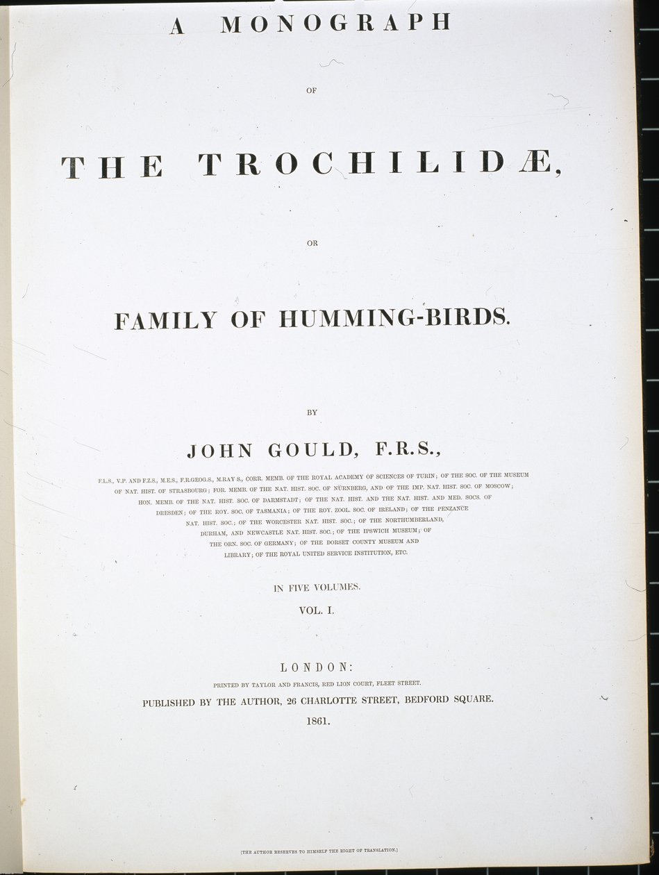 Frontispiece (el renginde taş) by John (after) Gould