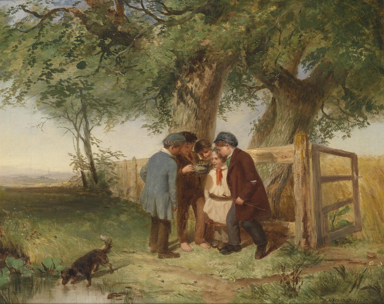 kuş yuvası by John Blake MacDonald