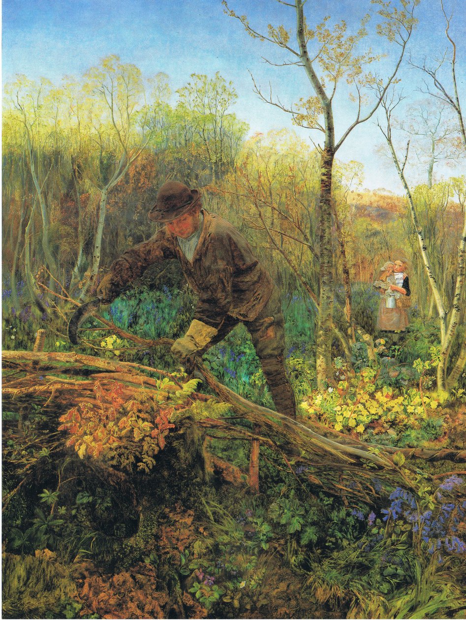 çitçi by John Brett