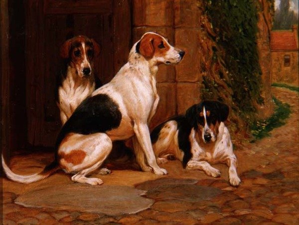 tilki köpekleri by John Charlton