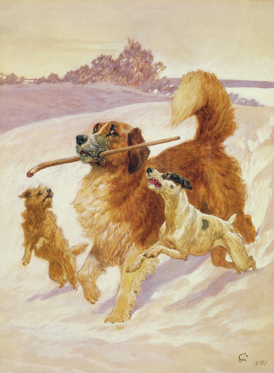 Karda oynayan üç köpek, 1881 by John Charlton