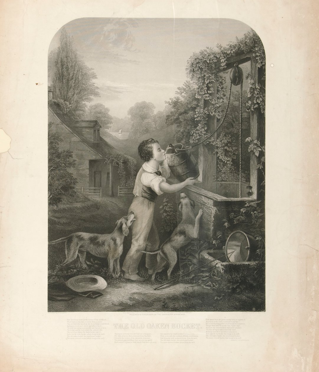 Eski Meşe Kova by John Chester Buttre