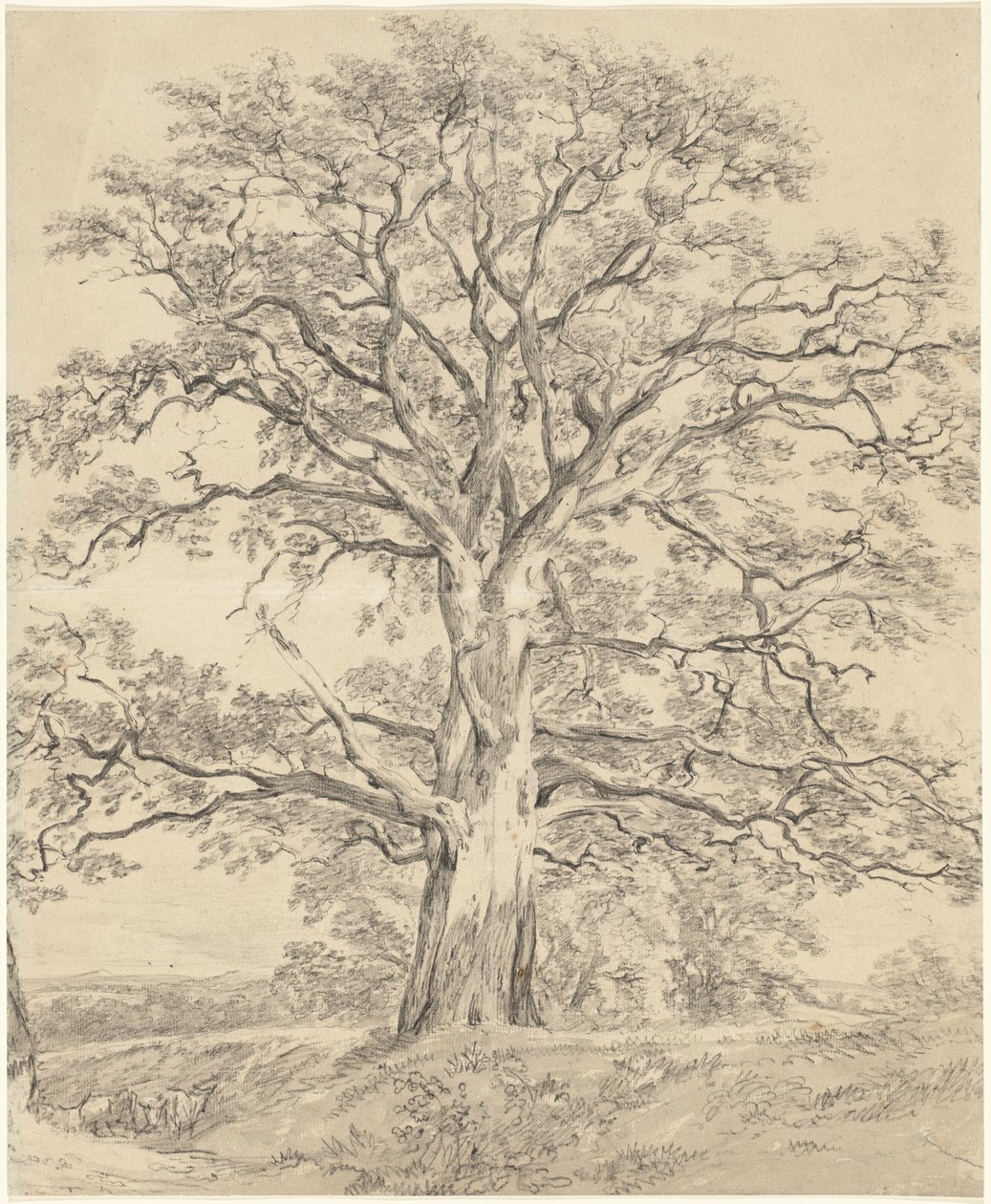 Büyük Meşe Ağacı by John Constable