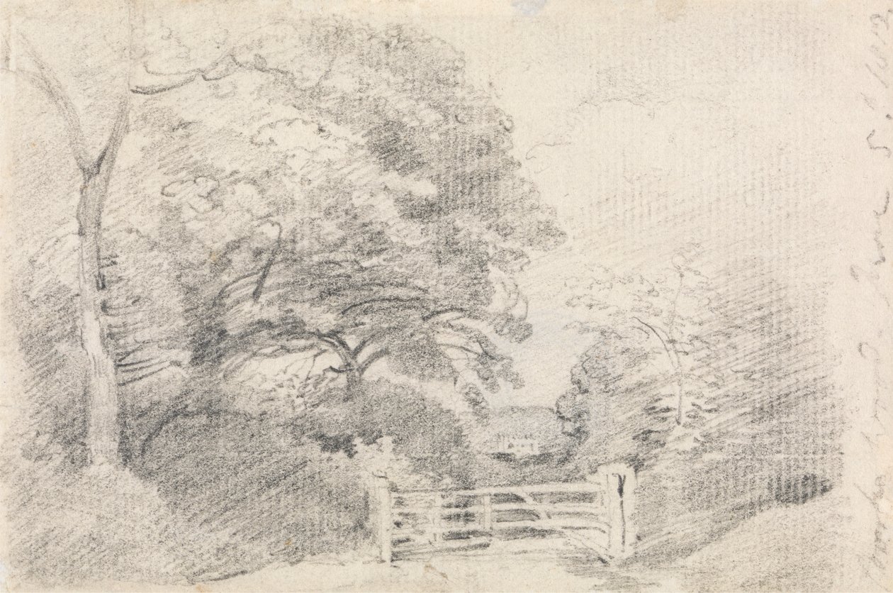 Coombe Ahşap by John Constable