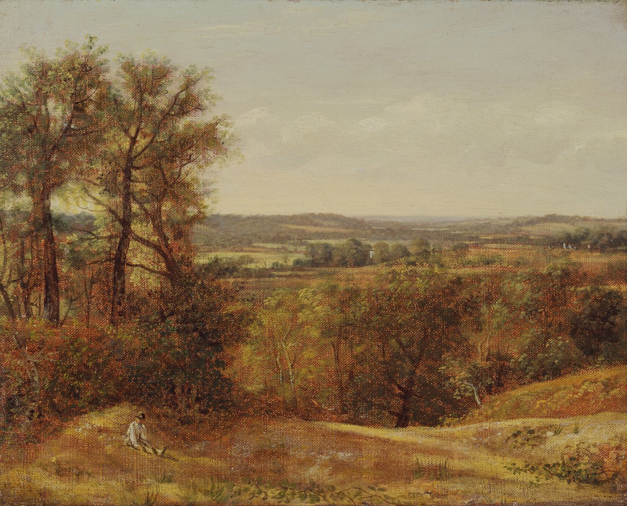 Dedham Vadisi, 1802. by John Constable
