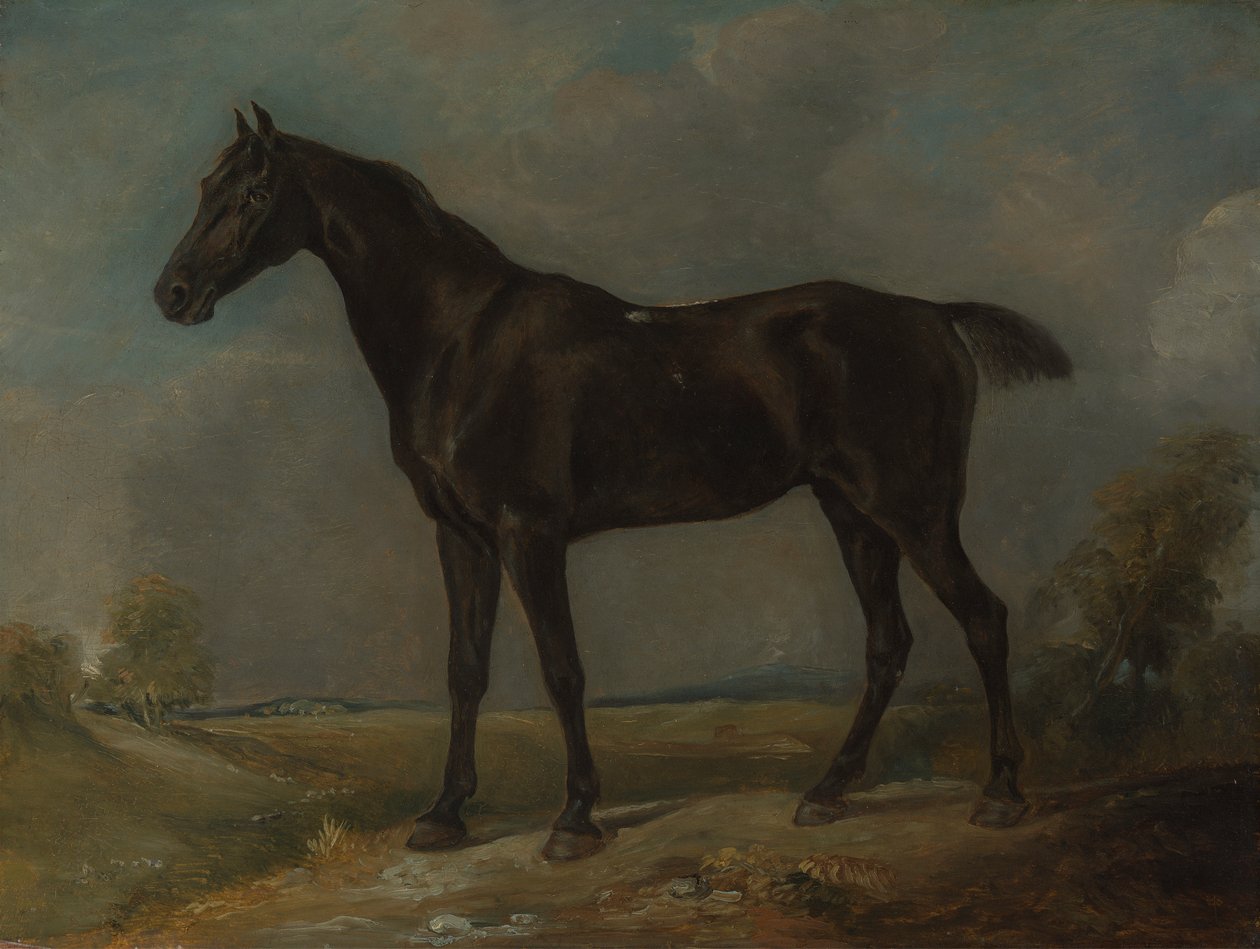 Golding Constable'ın Siyah Binicilik Atı by John Constable