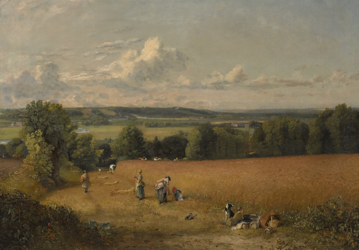 Buğday Tarlası by John Constable