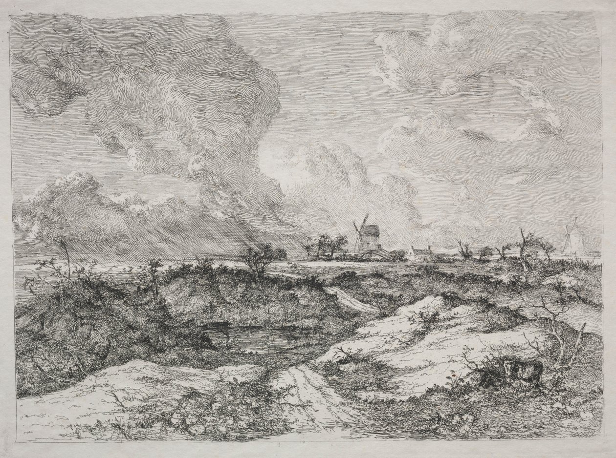 Mousehold Heath, c. 1810-13. by John Crome