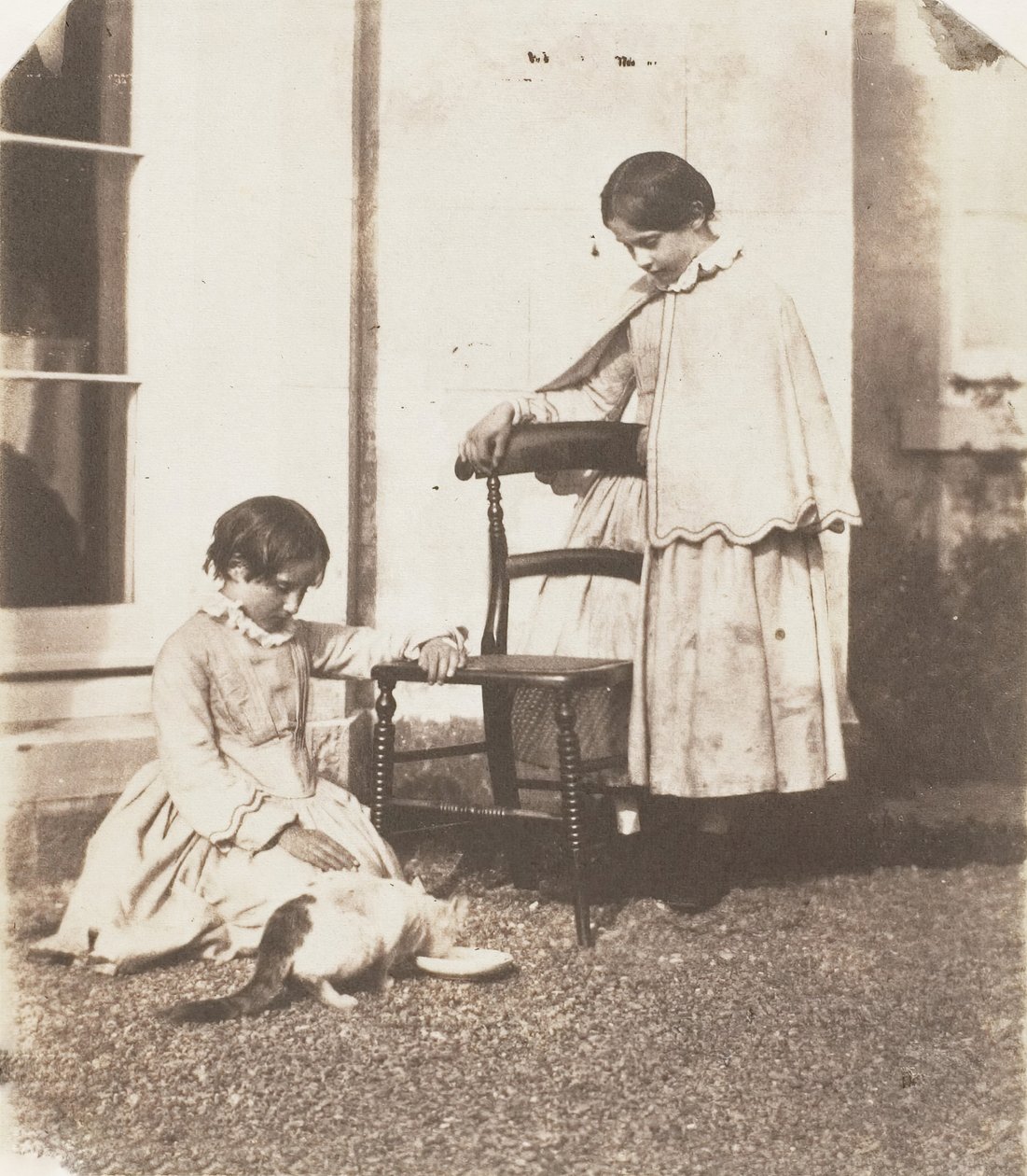 Zavallı Kediyi Beslemek, 1853-56. by John Dillwyn Llewelyn