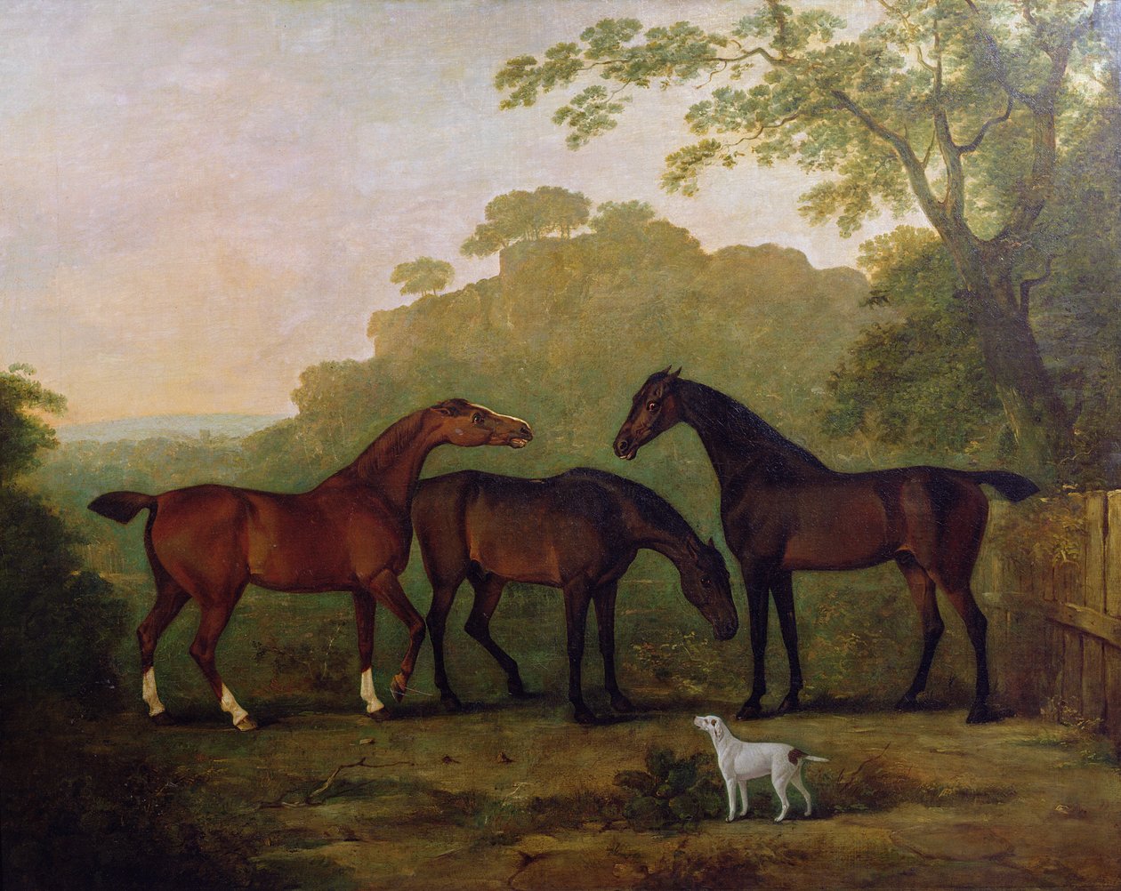 Çim Avcıları by John E. Ferneley