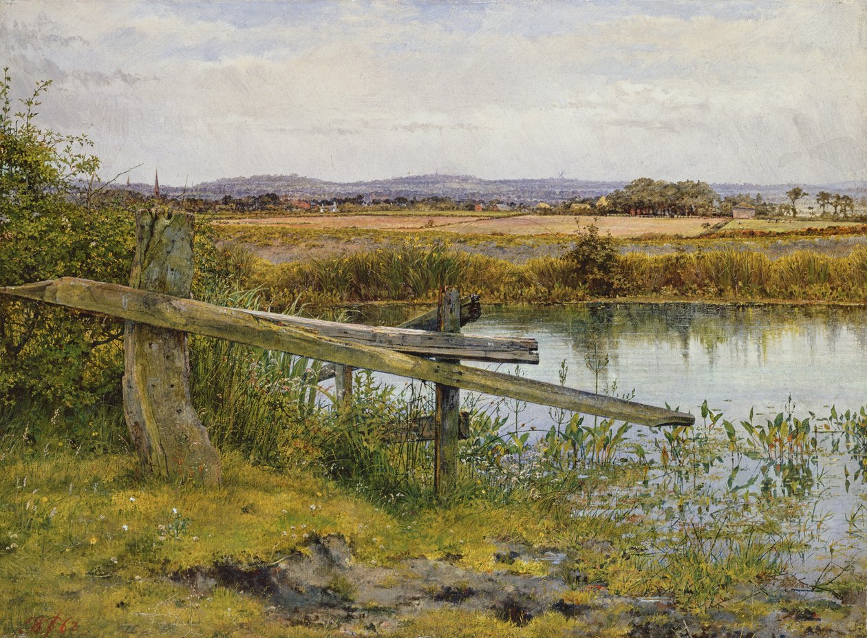 Yol Kenarı, 1862 by John Edward Newton