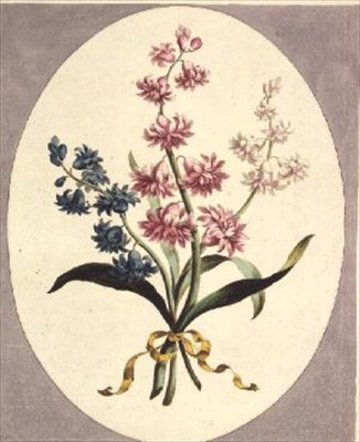 Doğu Sümbülleri by John Edwards