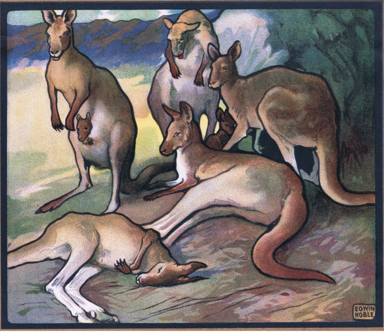 kangurular by John Edwin Noble