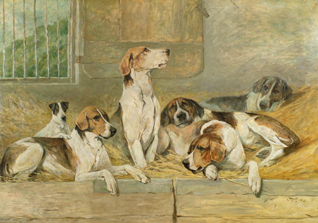 av köpekleri by John Emms