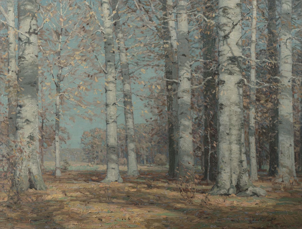 Sonbahar Kayınları, c.1908-1915 (tuval üzerine yağlı boya) by John Fabian Carlson