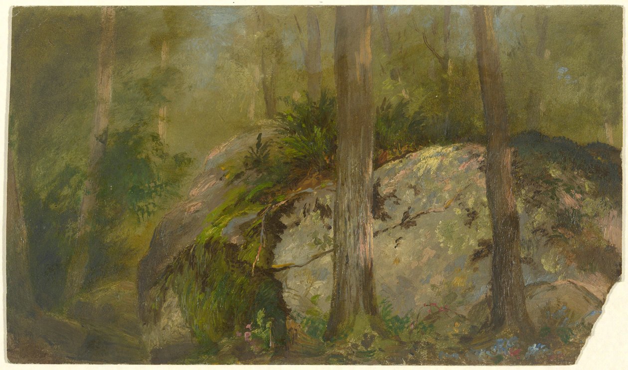 orman sahnesi by John Ferguson Weir
