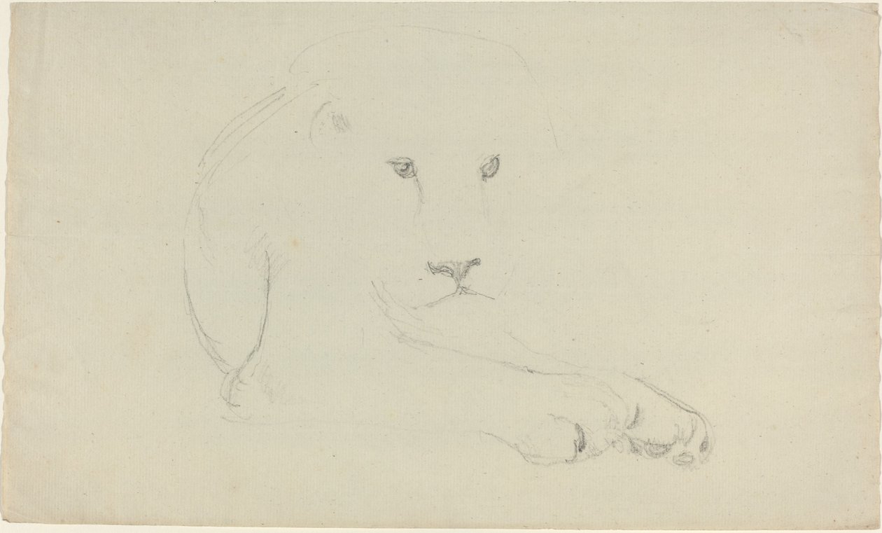 Aslan by John Flaxman