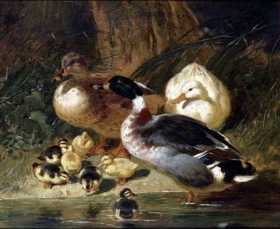 Ördekler ve Ördek Yavruları by John Frederick Herring Senior