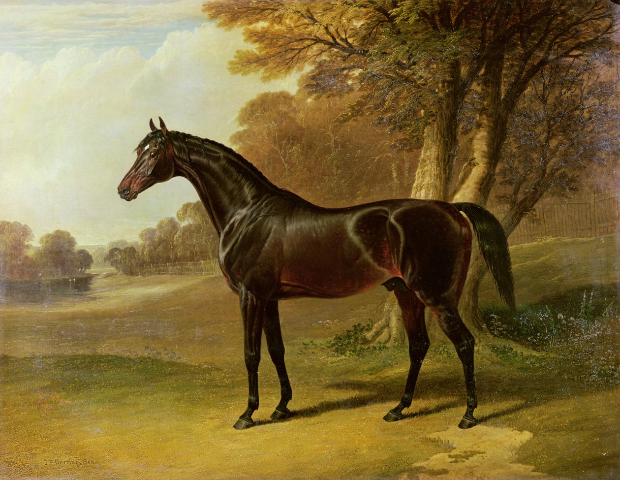 "Glaucus" by John Frederick Herring Senior
