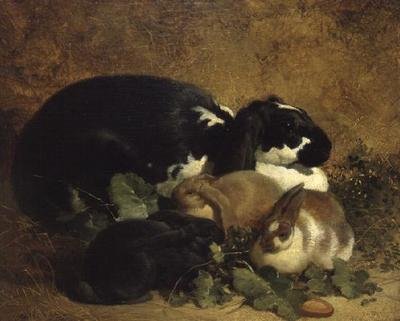 tavşanlar by John Frederick Herring Senior