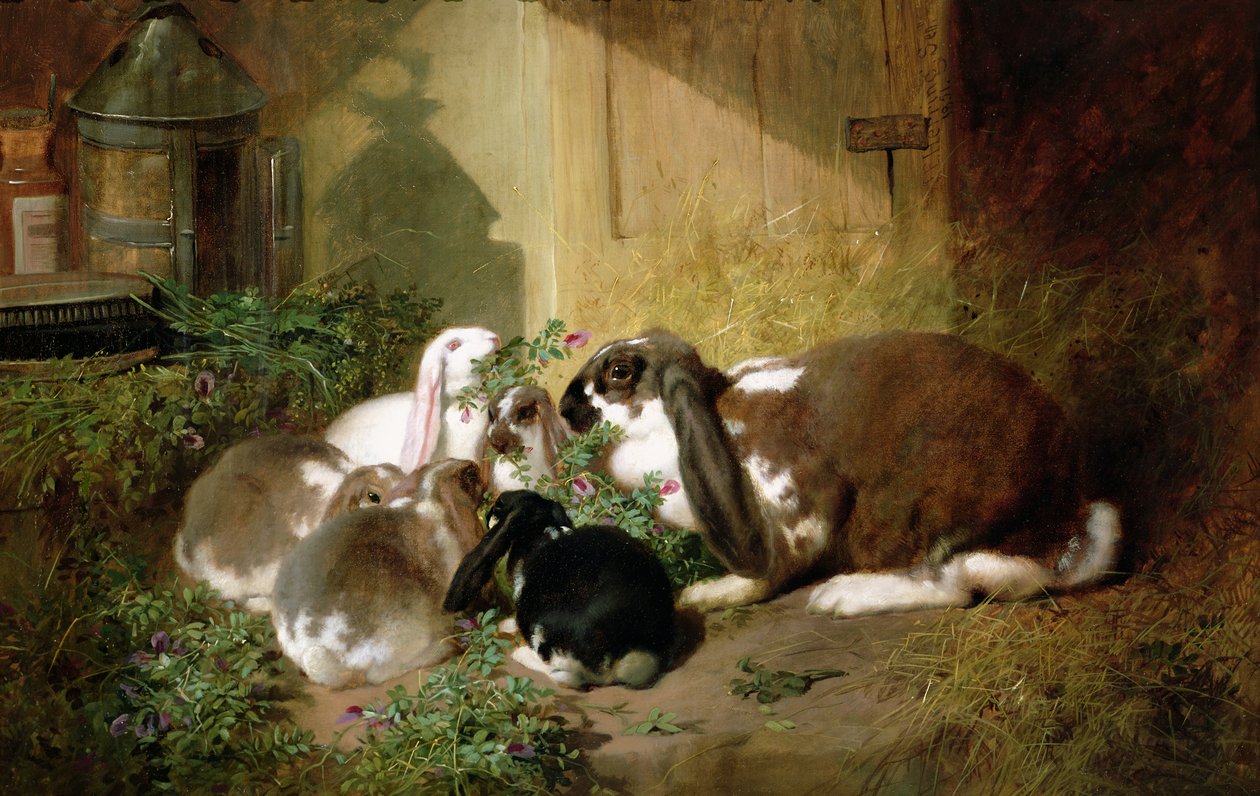 Bilinmeyen resim by John Frederick Herring Senior