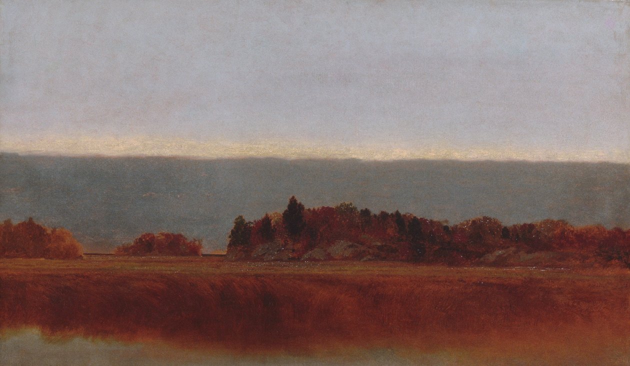 Ekim ayında Salt Meadow by John Frederick Kensett