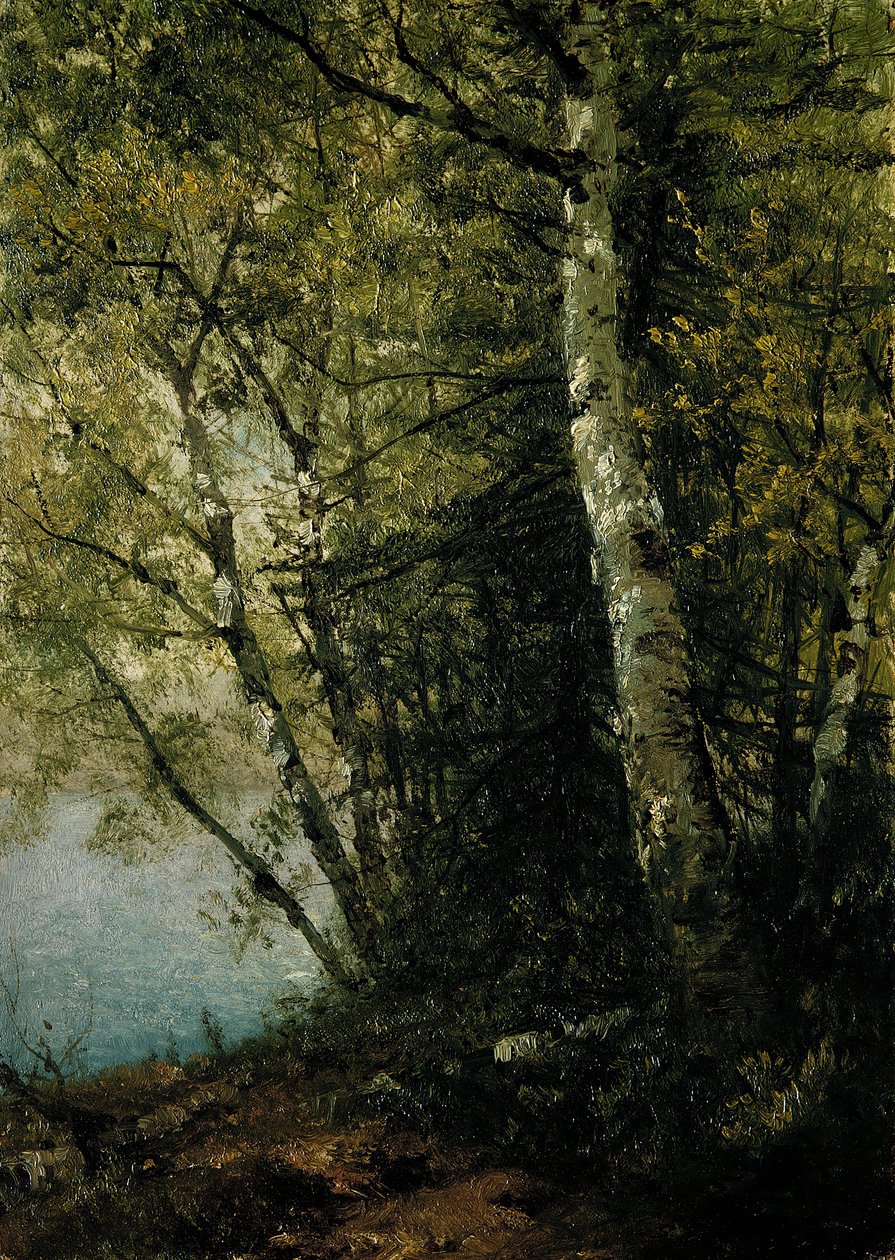 Kayın Araştırması, 1872. by John Frederick Kensett