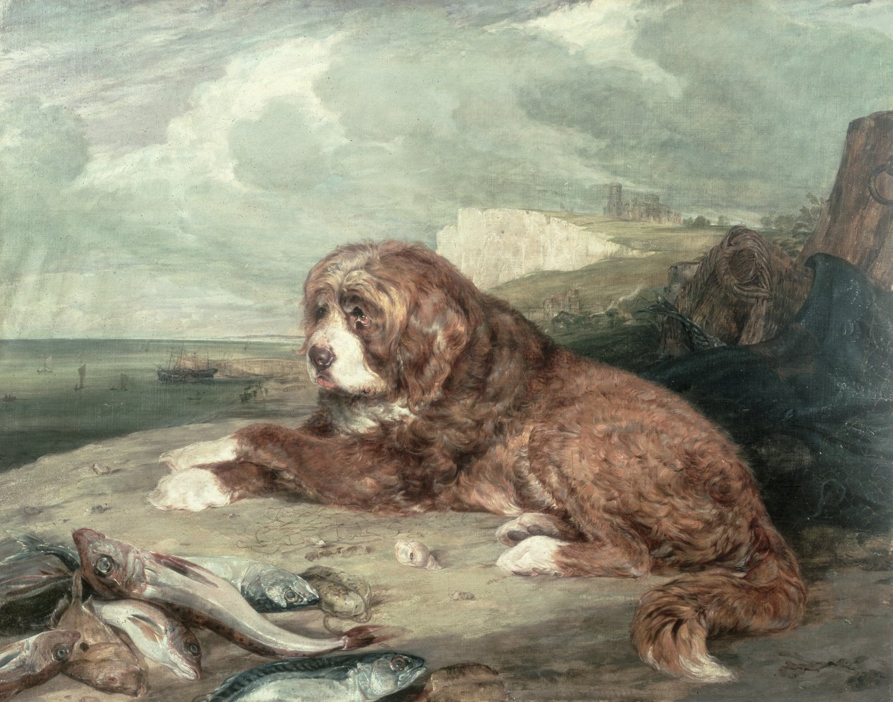 Eski Bir Newfoundland Köpeği by John Frederick Lewis