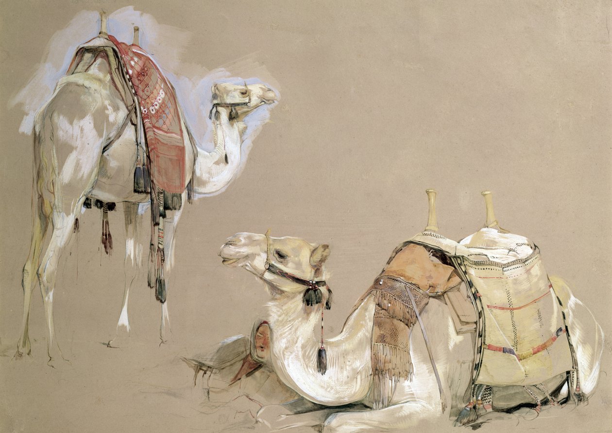 Deve Çalışmaları by John Frederick Lewis