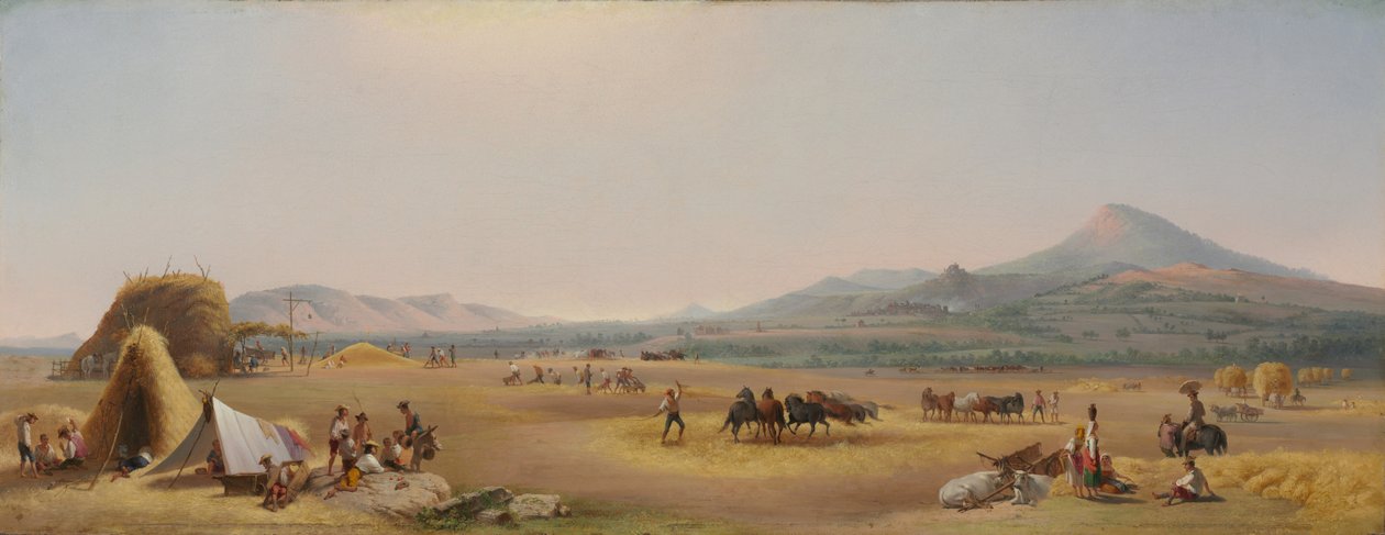 Roma Campagna
