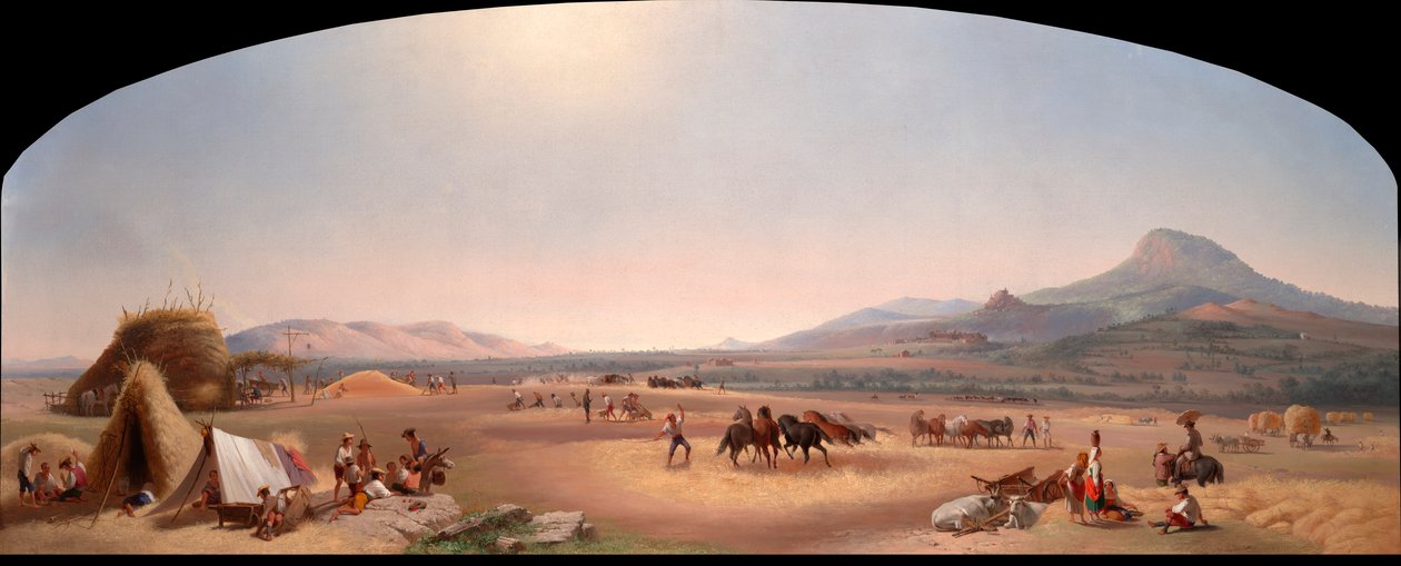 Roma Campagna