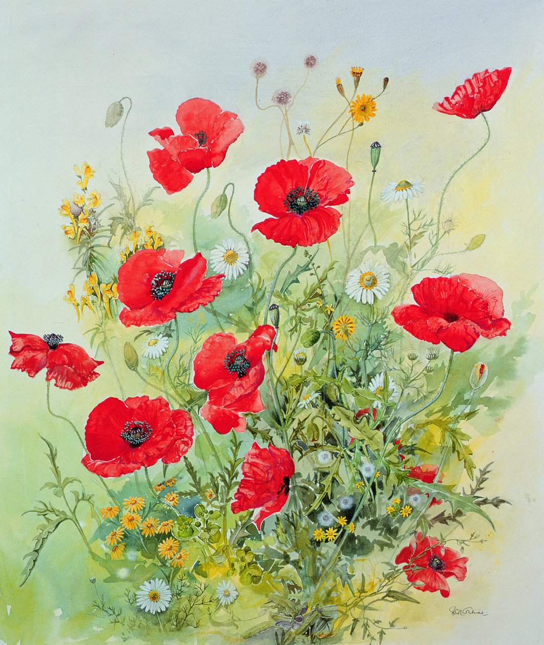 Haşhaş ve Mayweed by John Gubbins
