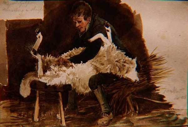 Binbaşı Gilpin Koyun Kırkma by John Harden