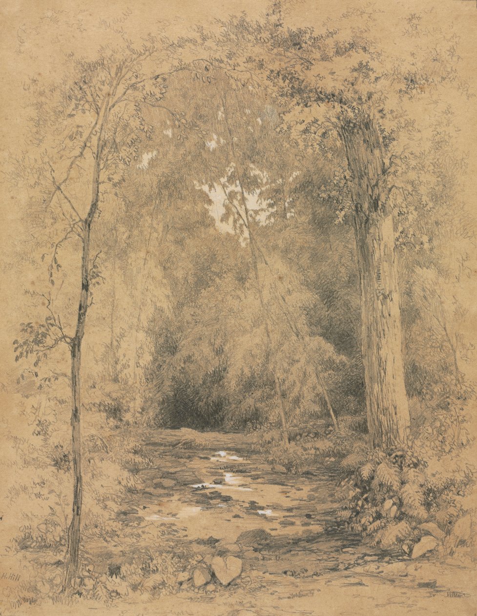 Orman İçi, c. 1870. by John Henry Hill