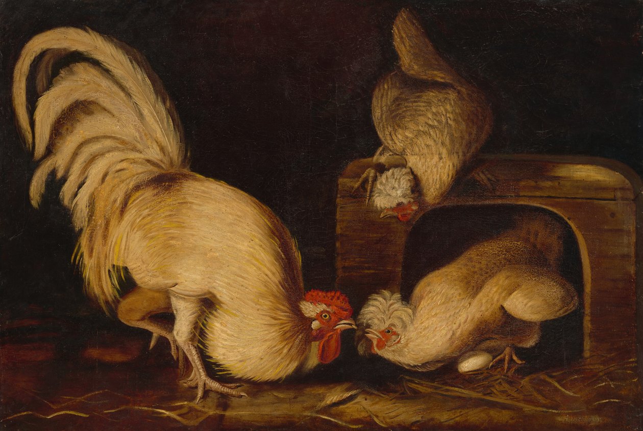Çiftlik Kuşları, c. 1827. by John James Audubon