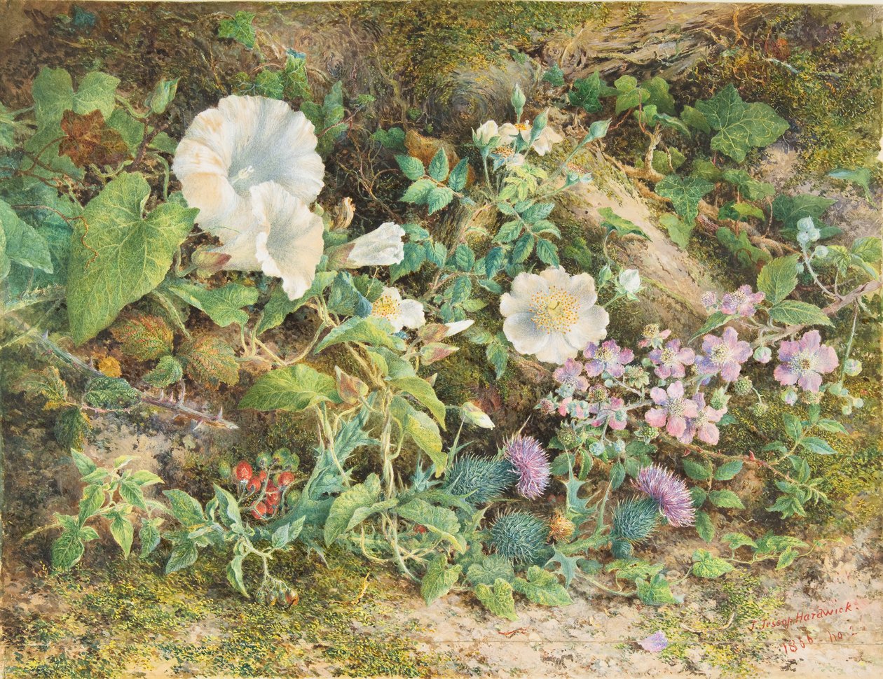 Çiçek Çalışması, 1866. by John Jessop Hardwick