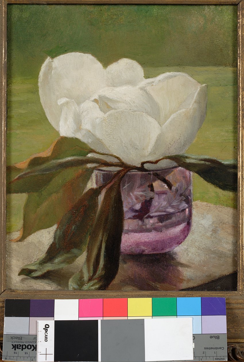 Manolya Çiçeği by John La Farge or Lafarge