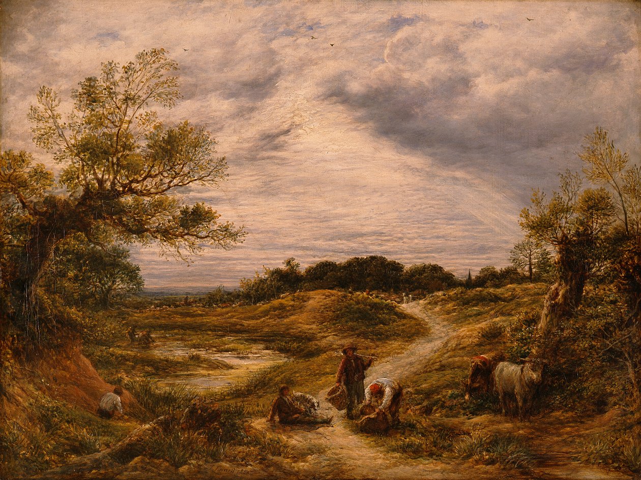 Hampstead Heath, 1855-56 dolayları (tuval üzerine yağlıboya) by John Linnell