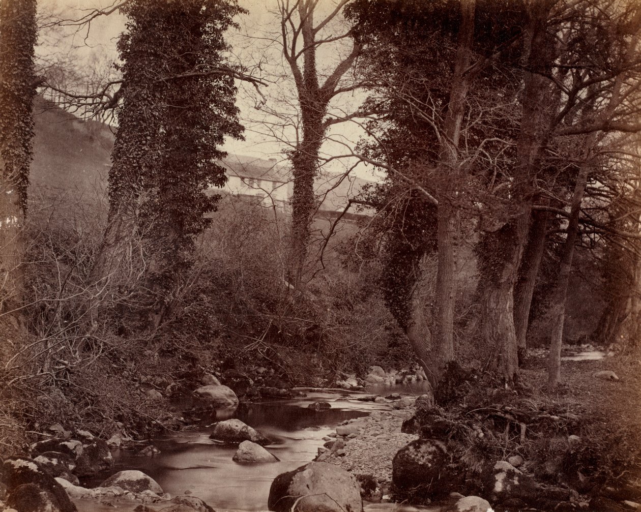 İsimsiz, c. 1859. by John Lloyd
