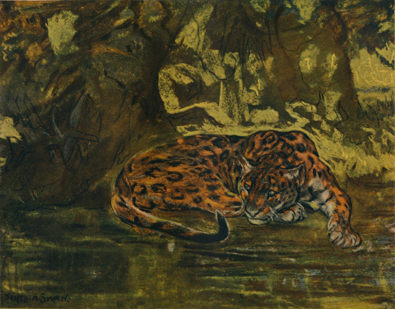 Bir Jaguar, c1900 by John Macallan Swan