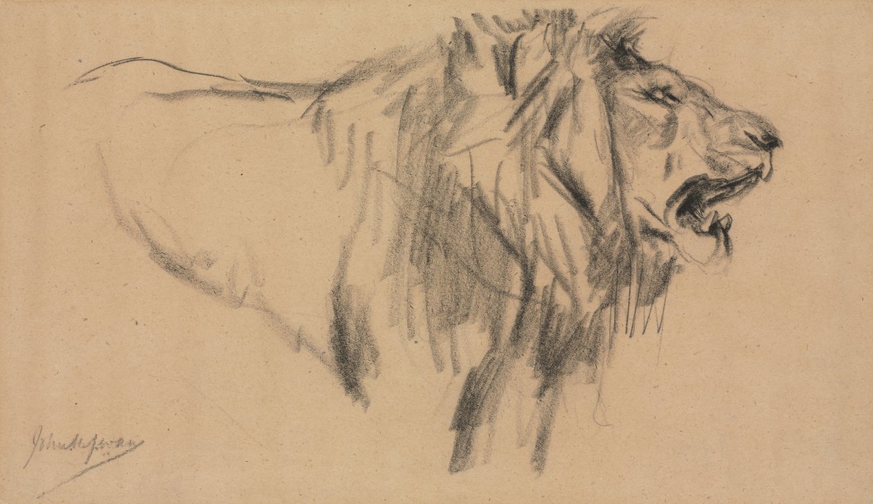 Aslan. by John Macallan Swan