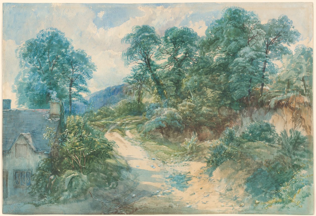 Bir Ülke Lane by John Middleton