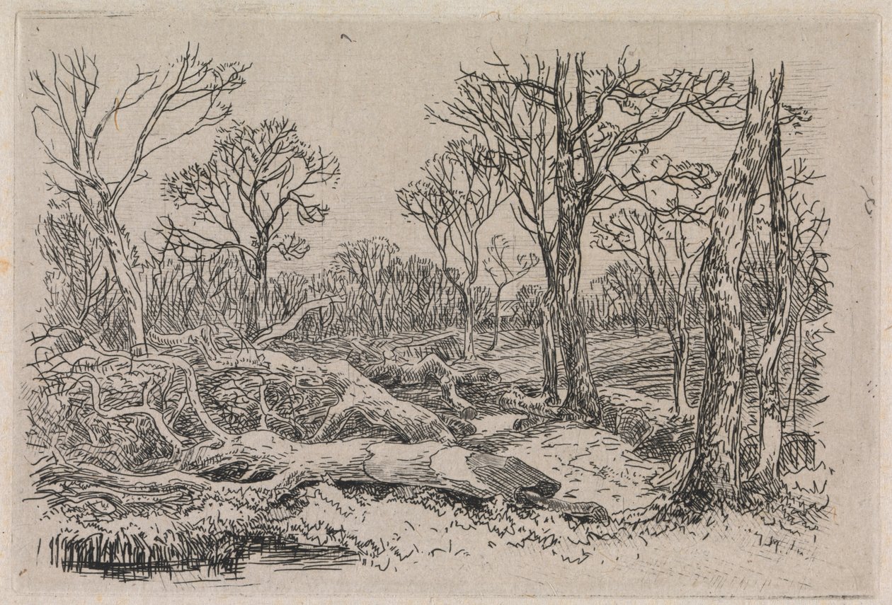 Kesilmiş Kereste, Burningham by John Middleton
