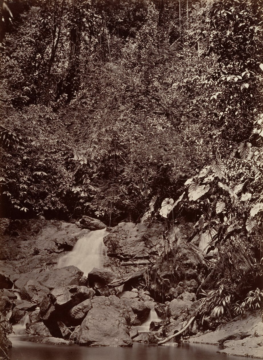 Tropikal Manzara, Çağlayan, Limon Nehri, 1871. by John Moran