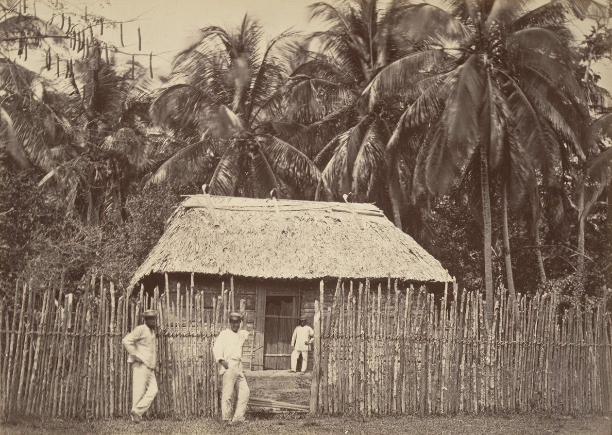 Tropikal Manzara, Yerli Kulübe, Turbo, 1871. by John Moran